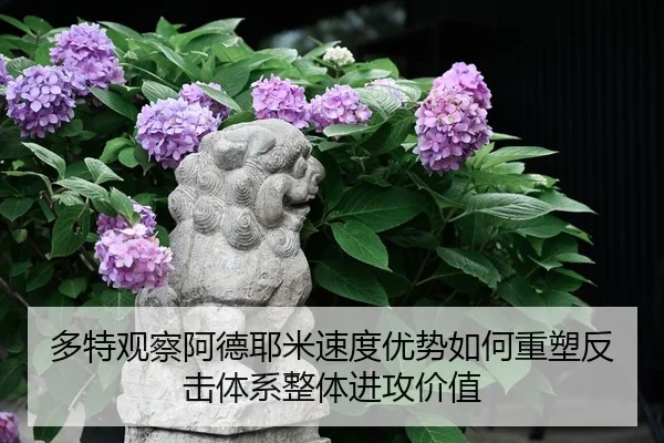 多特观察阿德耶米速度优势如何重塑反击体系整体进攻价值